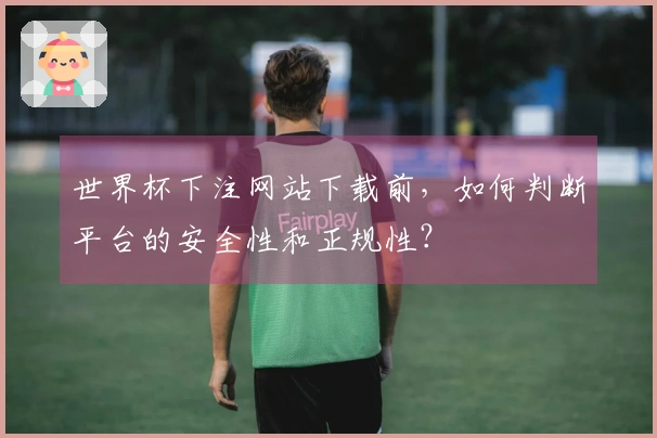 世界杯下注网站下载前，如何判断平台的安全性和正规性？