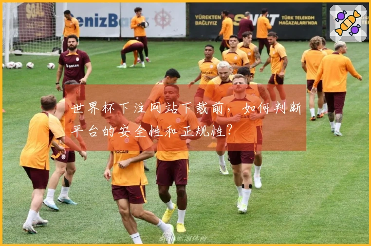 世界杯下注网站下载前，如何判断平台的安全性和正规性？