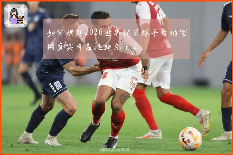 如何辨别2026世界杯买球平台的官网真实可靠性避免上当