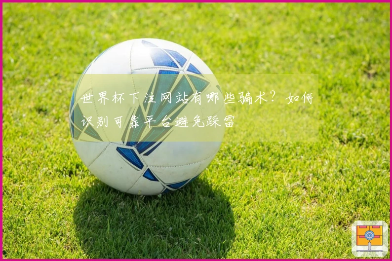 世界杯下注网站有哪些骗术？如何识别可靠平台避免踩雷