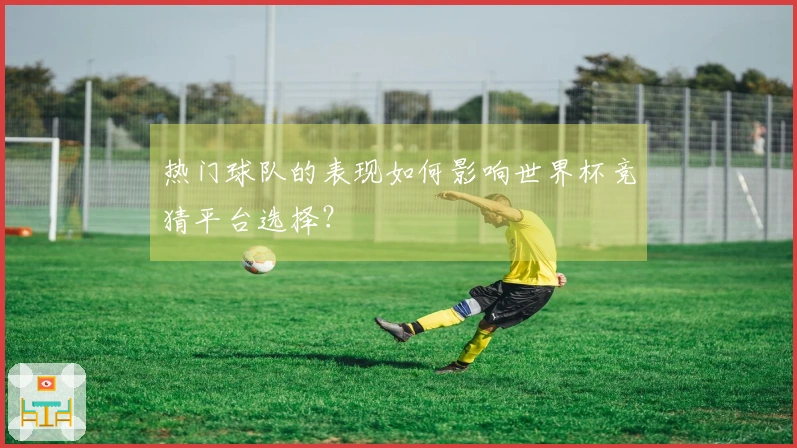 热门球队的表现如何影响世界杯竞猜平台选择？