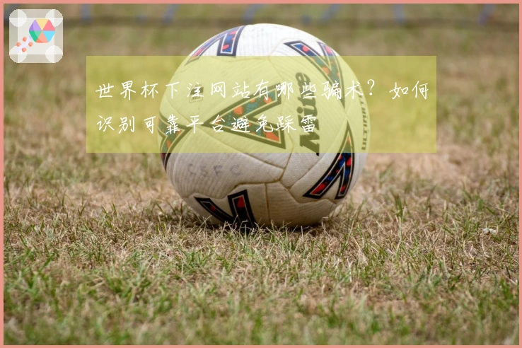 世界杯下注网站有哪些骗术？如何识别可靠平台避免踩雷