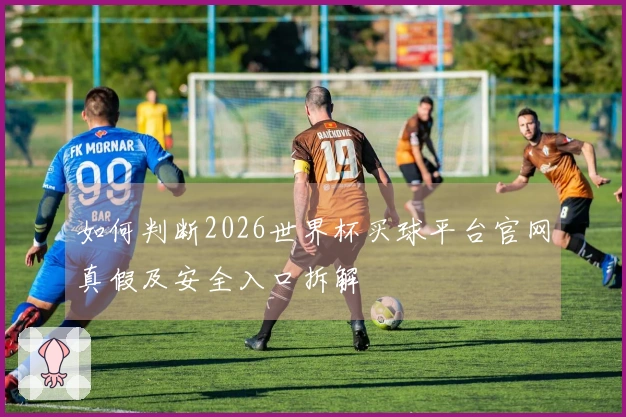 如何判断2026世界杯买球平台官网真假及安全入口拆解